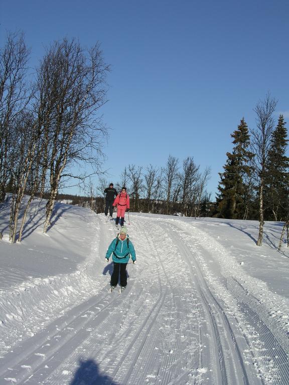 Birkelund Camping Geilo Ngoại thất bức ảnh