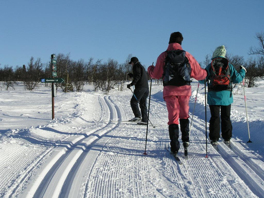 Birkelund Camping Geilo Ngoại thất bức ảnh