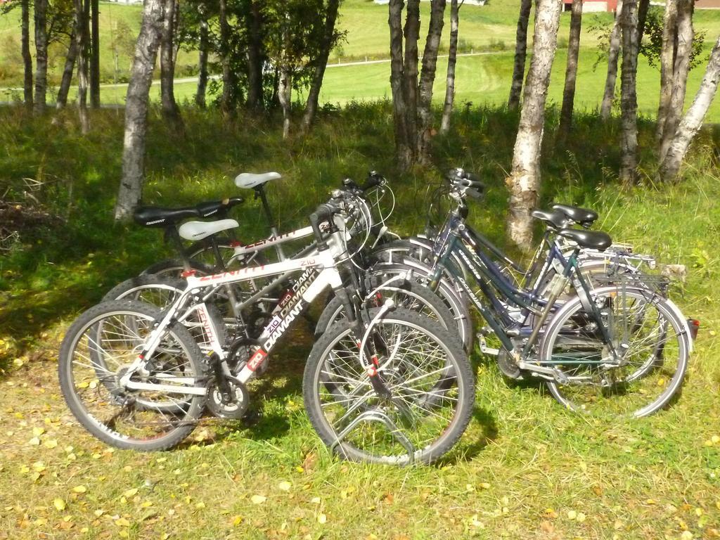 Birkelund Camping Geilo Ngoại thất bức ảnh
